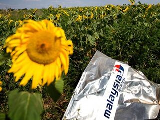 Emotionele oproep om getuigen van nabestaanden MH17