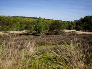 Welke maatregelen kunnen er genomen worden tegen de aanhoudende droogte in Nederland?