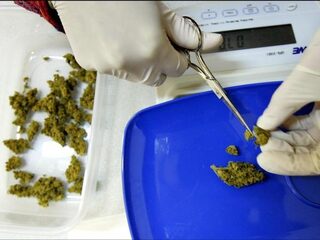 Duizenden de dupe door verdwijnen cannabisolie uit zorgverzekering