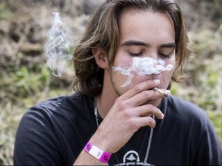 Burgemeester Venlo: ‘Overheid moet verdienen aan wietteelt, niet criminelen’