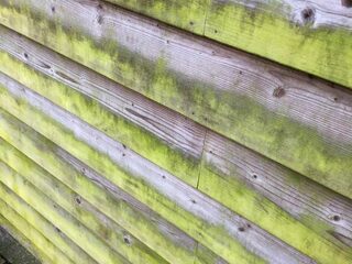 Groene aanslag verwijder je simpel en makkelijk met deze tien tips