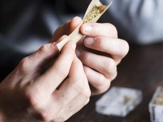 Lokale VVD'ers willen wietteelt reguleren