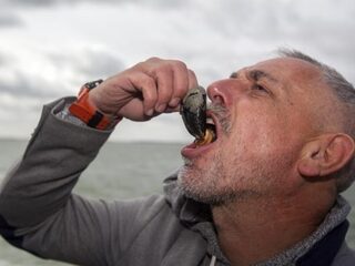 Mosselen en oesters in deel Oosterschelde nog giftig