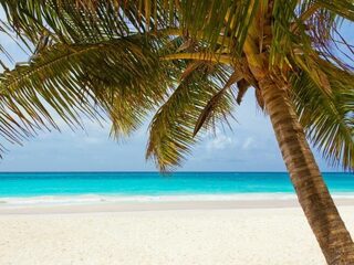 Armoede achter de Caribische palmbomen