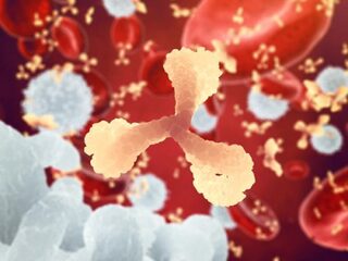 Eiwitten gevonden die ebola tegengaan