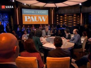 'De omroepen storten bakken populisme over de kijker uit'