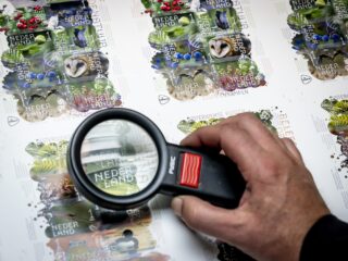 Waarom zijn sommige mensen nieuwsgierig en anderen niet?