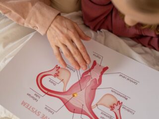 Vrouwenorganisaties bundelen krachten samen voor aandacht vrouwengezondheid: 'Vooral op sociale media veel misinformatie'