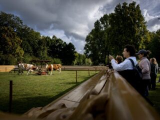 Wat zijn 'plattelandsevangelisten'? 'Gaat om hartstochtelijke verheerlijking'