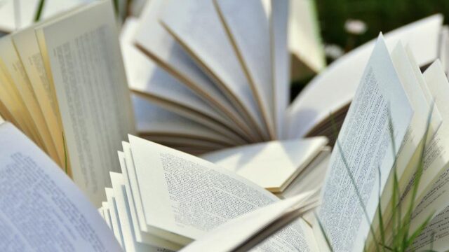 Een boekentip? Deze schrijvers hebben een bijzondere pen