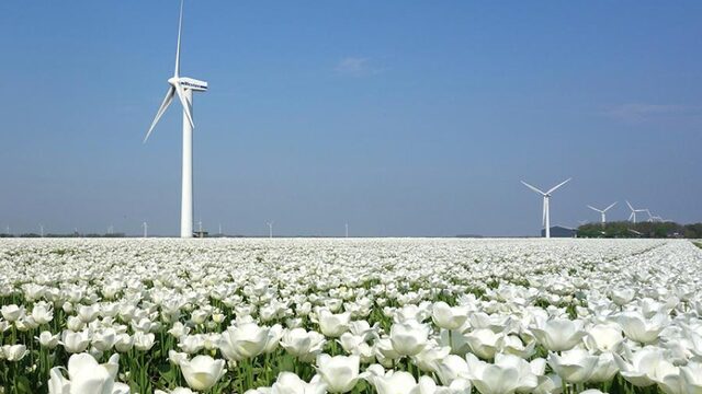 'Ons landschap wordt ‘hagelslag’ als we niets doen!'
