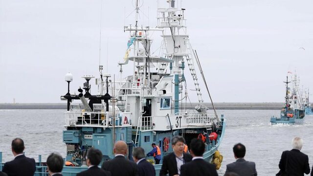Japan na 31 jaar weer begonnen met commerciële walvisjacht