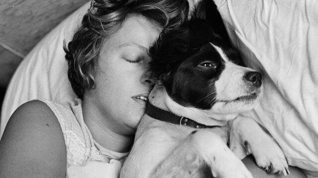 'Niks mis met slapen met je hond of kat in bed'