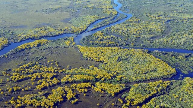 Natuurramp in Zuid Amerika: grootste moerasgebied van de wereld staat in brand