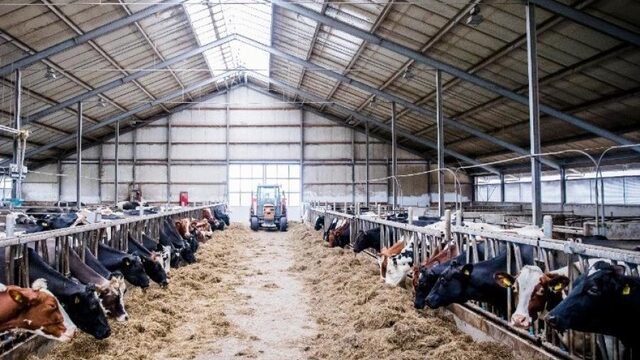 Feit of Fictie: een gezin betaalt 500 euro per jaar aan de boerensector