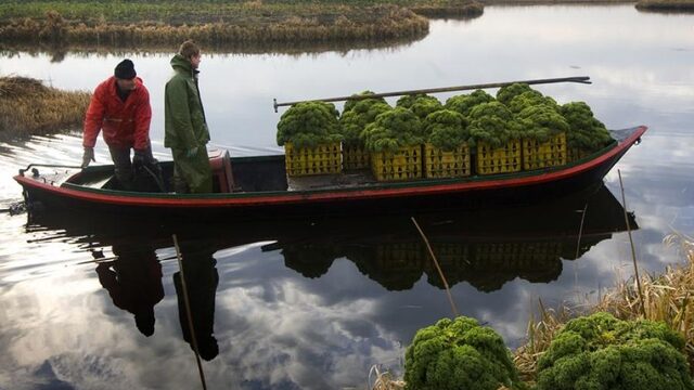 Nederland is een goudmijn voor lekker eten en mooie producten