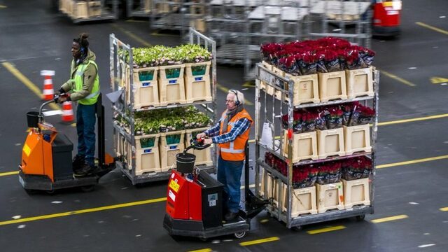Sector erkent: veel mis met bloemen uit Afrika