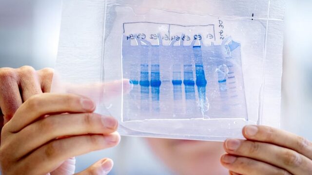 'Voor eind volgend jaar geen vaccin'