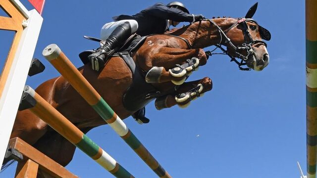 Hippische sport in problemen door virus