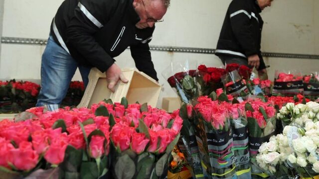 Het gaat weer beter met de planten- en bloemensector