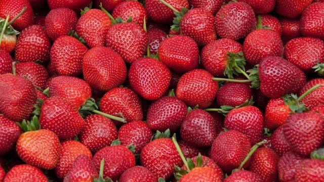 Streekproducten in de supermarkt: 'Mooie gedachte, niet realistisch'