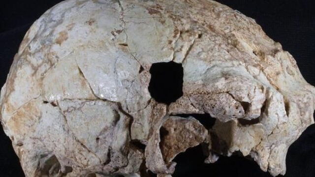 Ontdekking: 400.000 jaar oude schedel van mensachtige