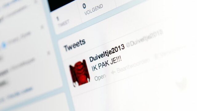 'Het internet zit in zijn puberteit'