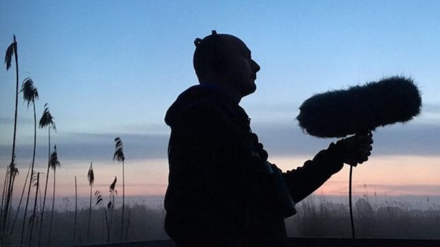 De vogelzang is op zijn hoogtepunt