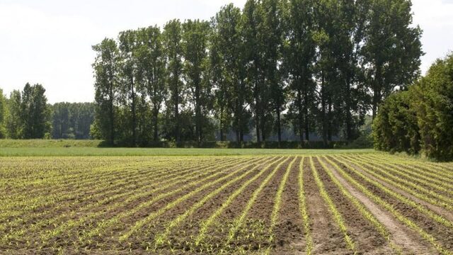 Stad en platteland; een tweeluik over verschillend Nederland