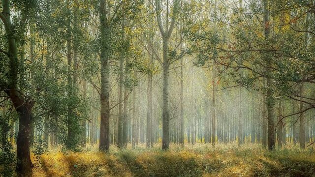 Toerend door Nederland kom je veel bedreigingen tegen