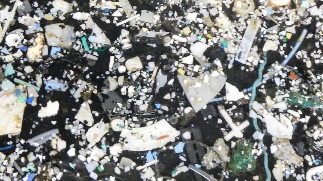 Hoe groot is de plastic soep precies? | NPO Radio 1