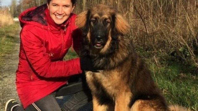 Puppycursus in tijden van corona: Kim heeft al 90 instructiefilmpjes online staan