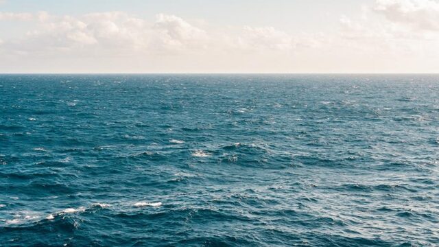 Stond er vroeger een bos waar nu de Noordzee is?