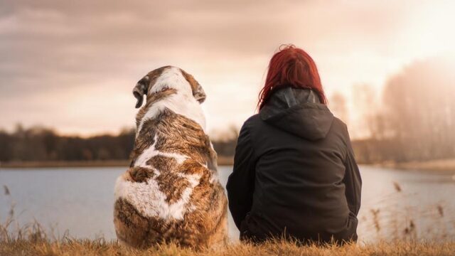 Stand.nl: We zijn doorgeslagen in onze liefde voor dieren
