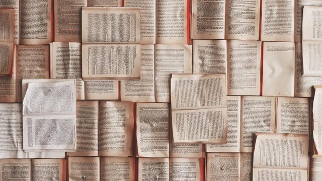 'Bijna kwart van 15-jarigen niet in staat om brieven of handleidingen helemaal te begrijpen'