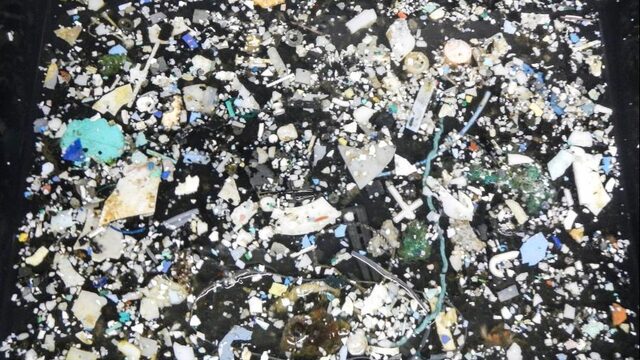Hoe groot is de plastic soep precies?
