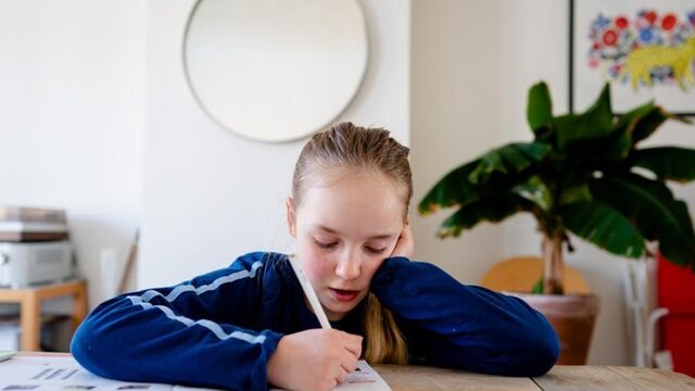 'Iedereen met handen in het haar': thuisonderwijs is weer begonnen