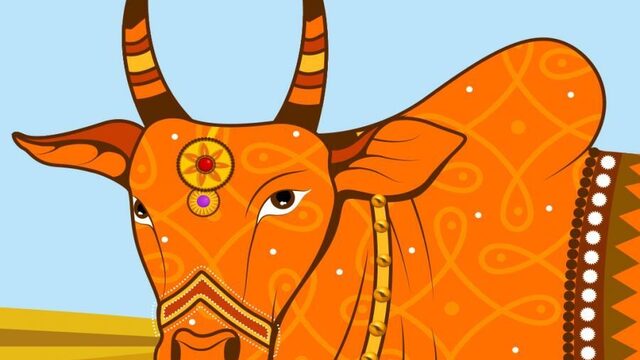 Nieuw: De Heilige Koe over India en de verkiezingen