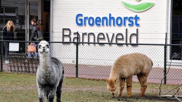 Barneveldse MBO school is nu een echte dierentuin