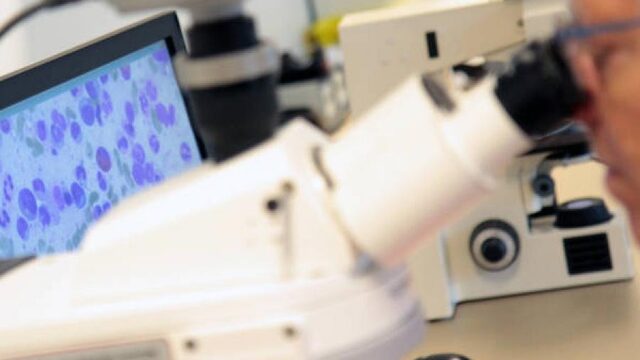 Stand.nl: De identiteit van een spermadonor moet altijd te achterhalen zijn