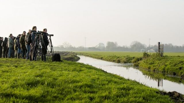 Vandaag op NPO Radio 1: Vogelcursus voor beginners, frauderende gerechtsdeurwaarders en Eredivisievoetbal