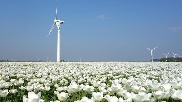 Zorgt de coronacrisis voor schonere lucht?