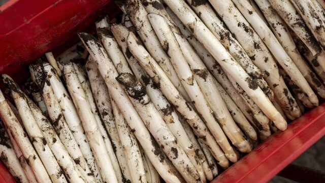 Aspergeteler Corné opende een drive-through: 'Klanten waarderen het en komen terug'
