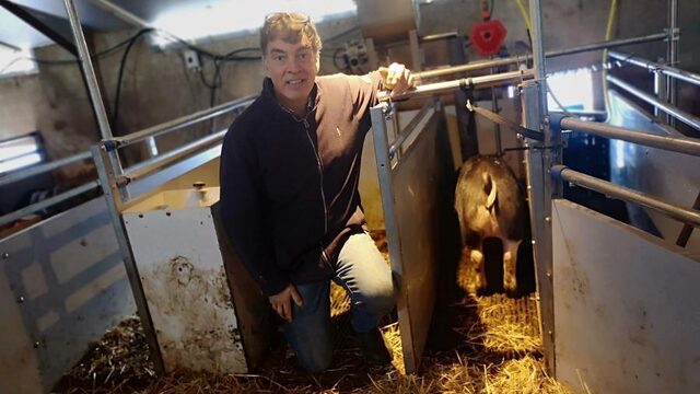 Varkensfluisteraar Kees leert zijn varkens waar ze moeten poepen en plassen