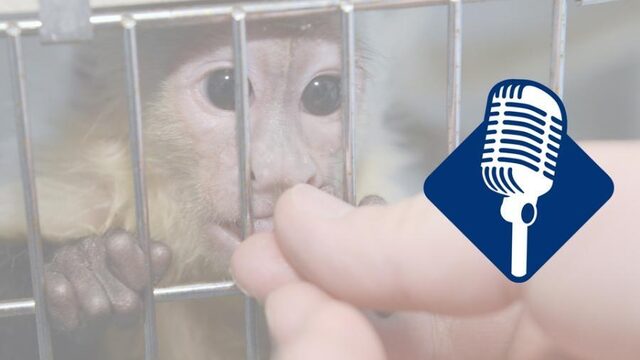 Podcast De Dag: Waarom je geen dieren mee terug moet nemen van vakantie