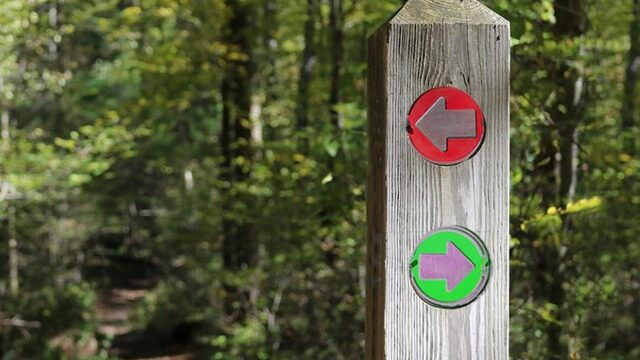 Natuur is politiek: maar is het links of rechts?