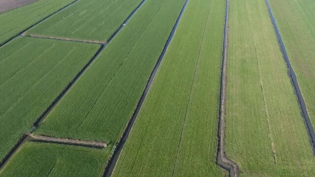 Landelijk en lokaal bestuur ruziën over woningnood, Kamer wil dat Ollongren de provincie Utrecht dwingt woningen te bouwen in de polder