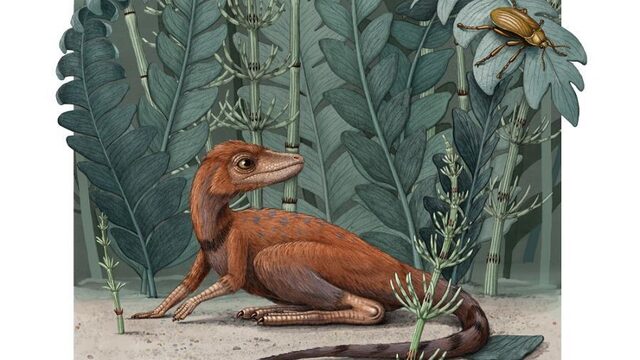Voorouders dinosaurussen waren superklein