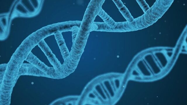 Particuliere DNA-databanken kunnen helpen bij het oplossen van moordzaken