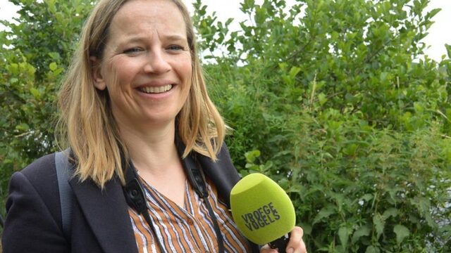Niemand luistert naar de zanglijster, hoe kan dat nou?